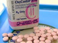 Oxycontin Research Shows Helpful Results Pertaining to Meth Use and Autism Treatment