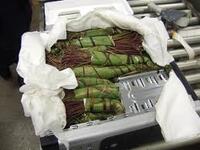 Schedule I Narcotic Khat, Confiscated at Dulles Airport
